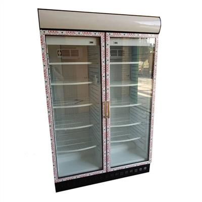یخچال ایستاده دو درب 120 سانتی